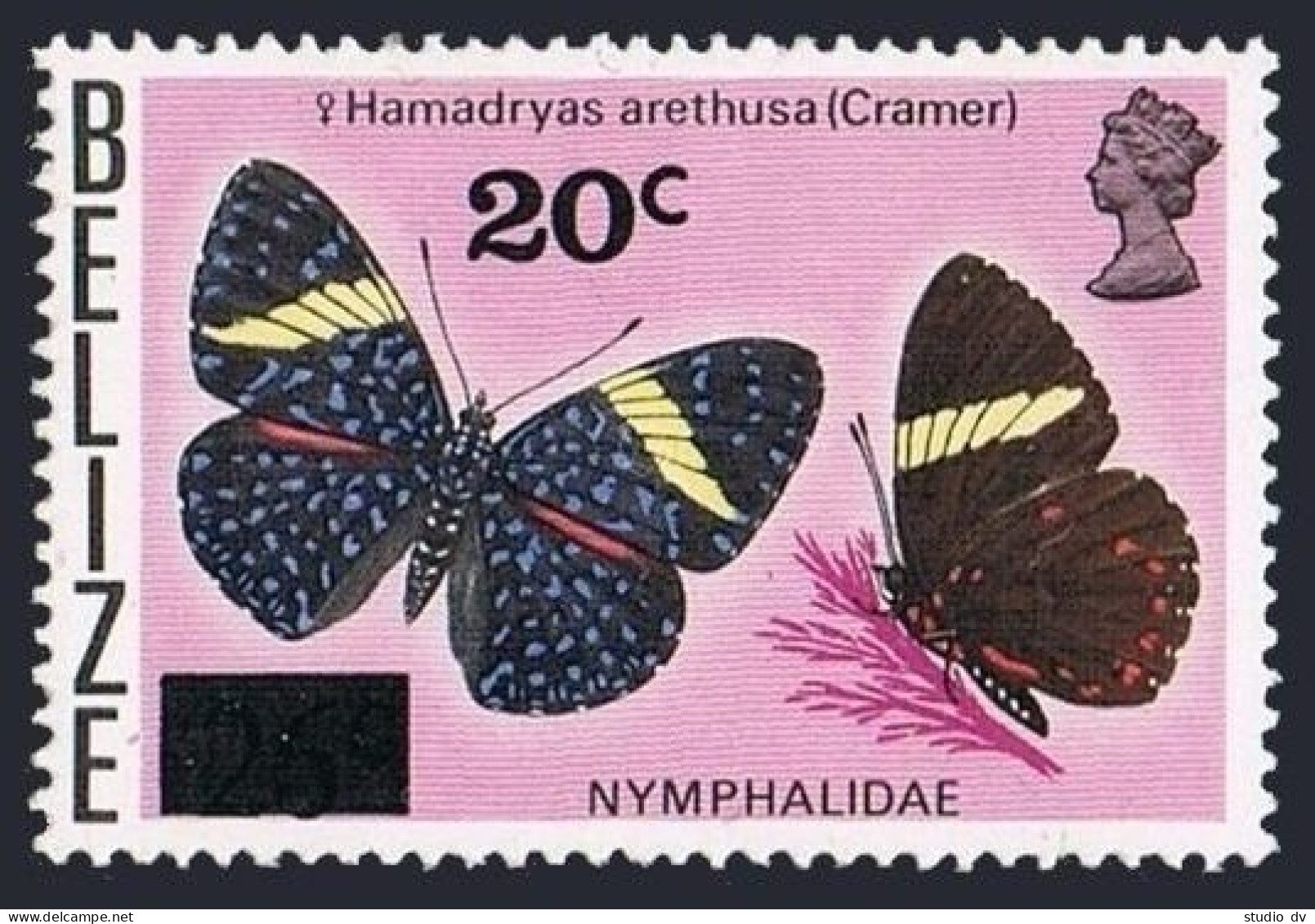 Belize 380, MNH. Mi 369. Butterfly Hamadryas Arethusa - Cramer. New Value 1977. - Belize (1973-...)