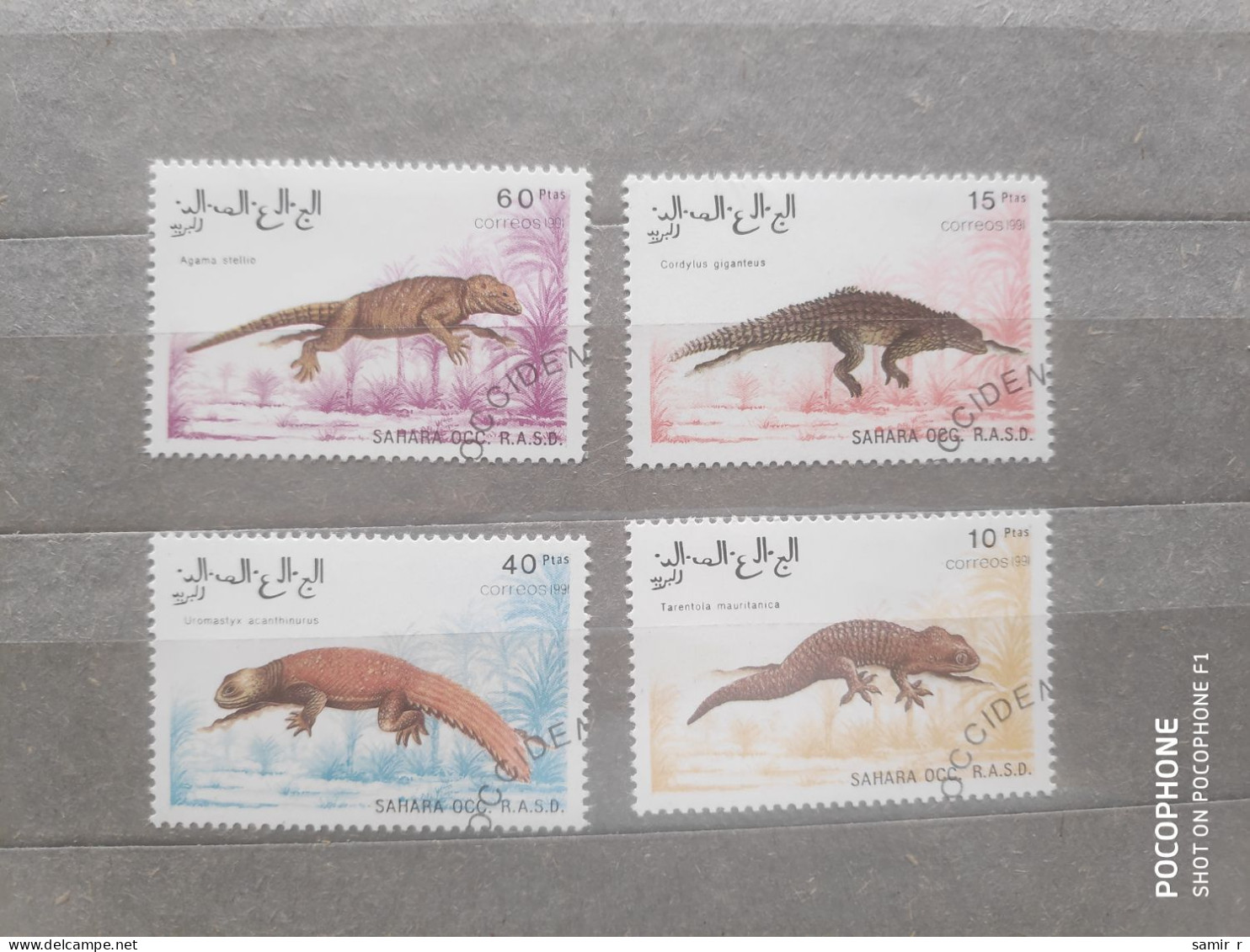 1991	Sahara	Reptiles (F97) - Autres - Afrique