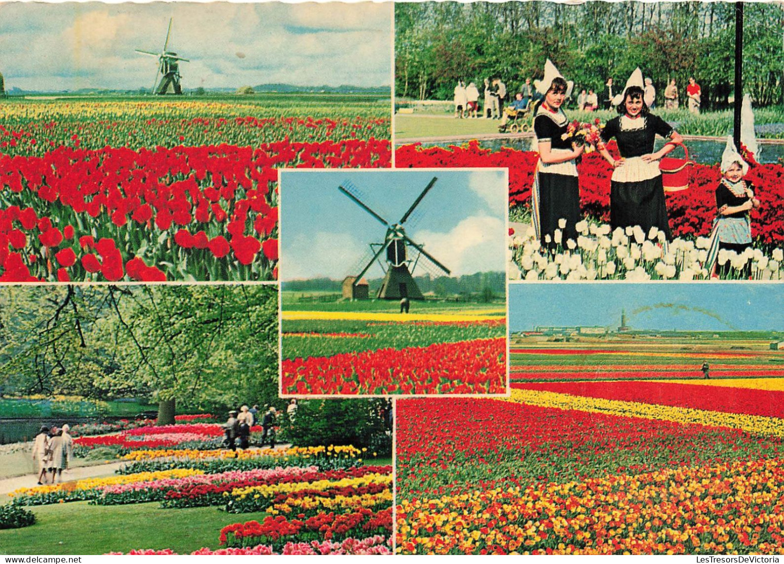 PAYS-BAS - La Hollande En Parure Des Fleurs - Multi-vues - Animé - Fleurs - Carte Postale - Other & Unclassified