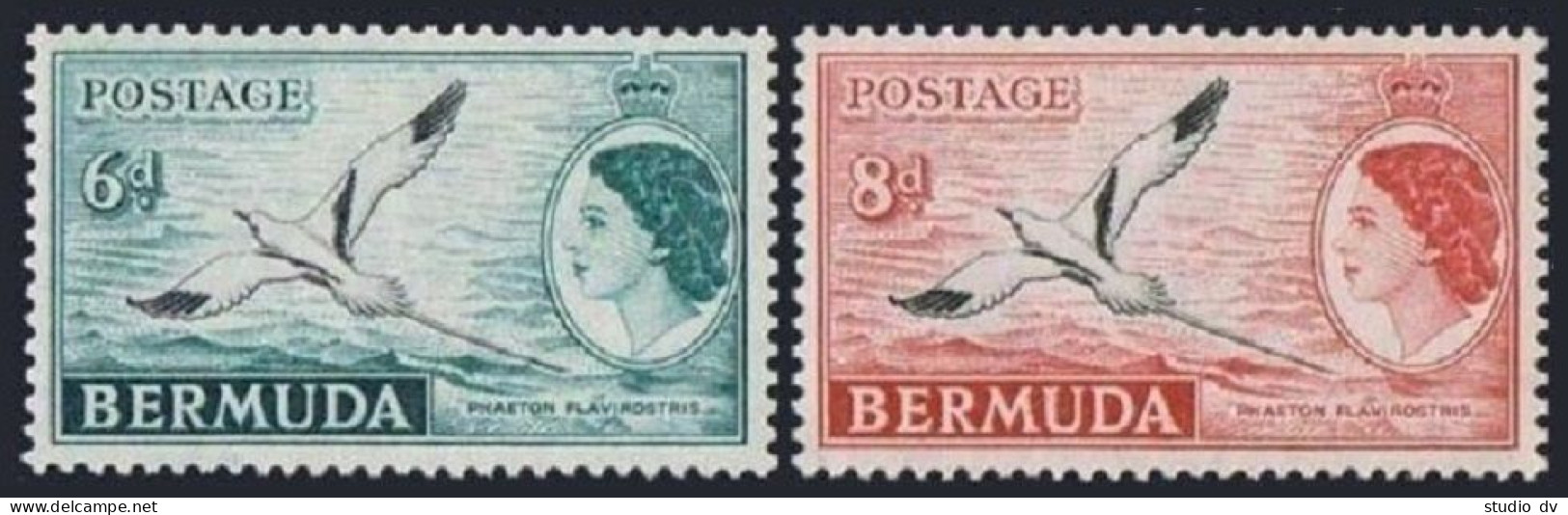 Bermuda 152-153, MNH. Michel 138-139. QE II 1955. Bird Phaeton Flavirostris. - Bermudes