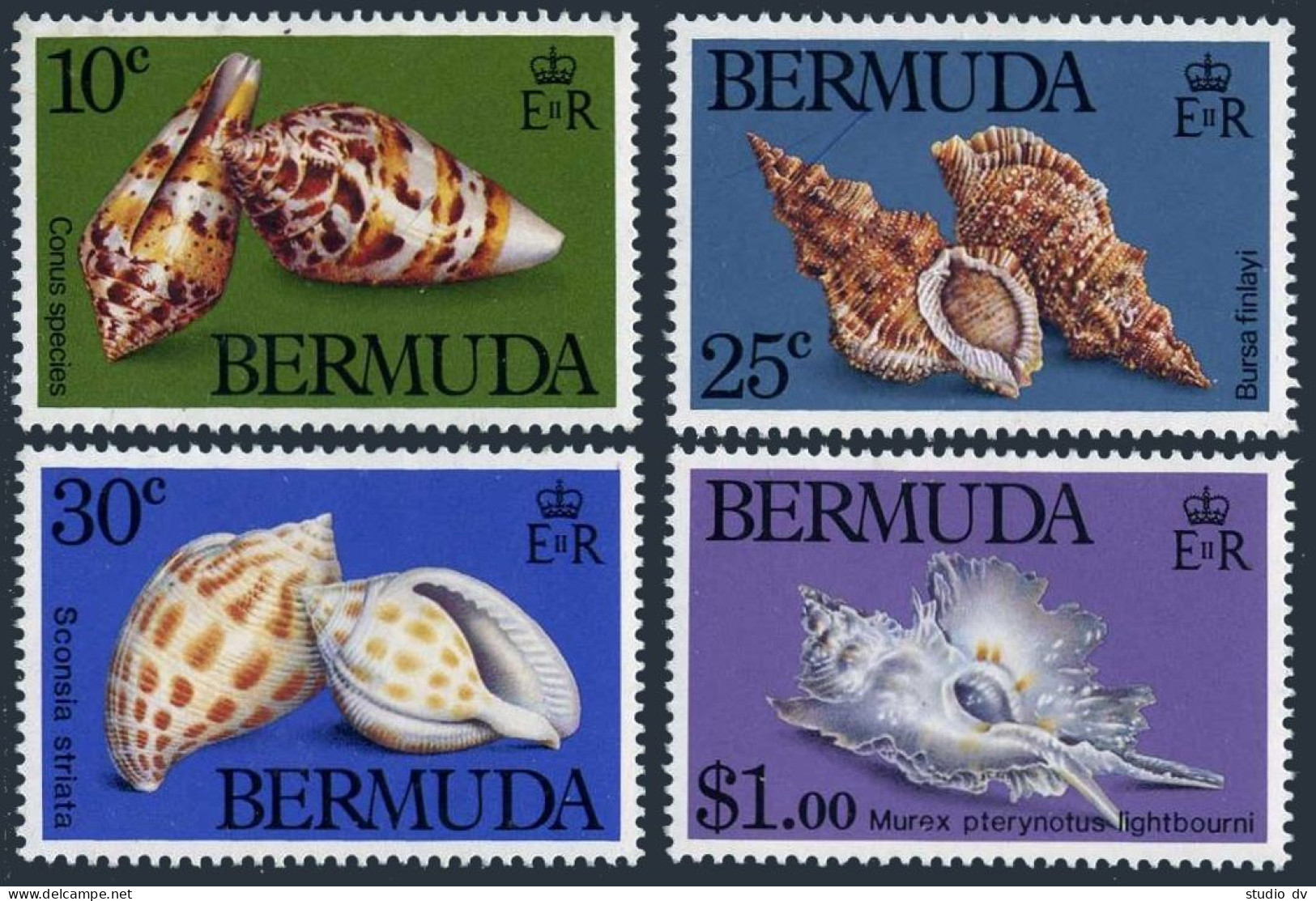 Bermuda 419-422, Lightly Hinged. Mi 408-411. Shells 1982. Conus, Bursa, Sconsia, - Bermudes