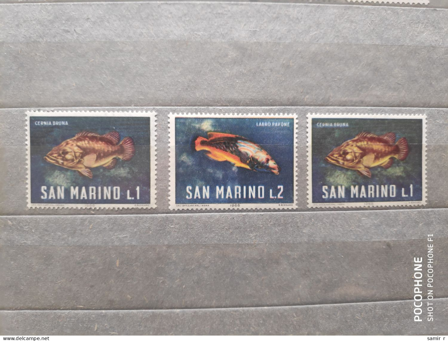 1966	San Marino	Fishes (F97) - Unused Stamps