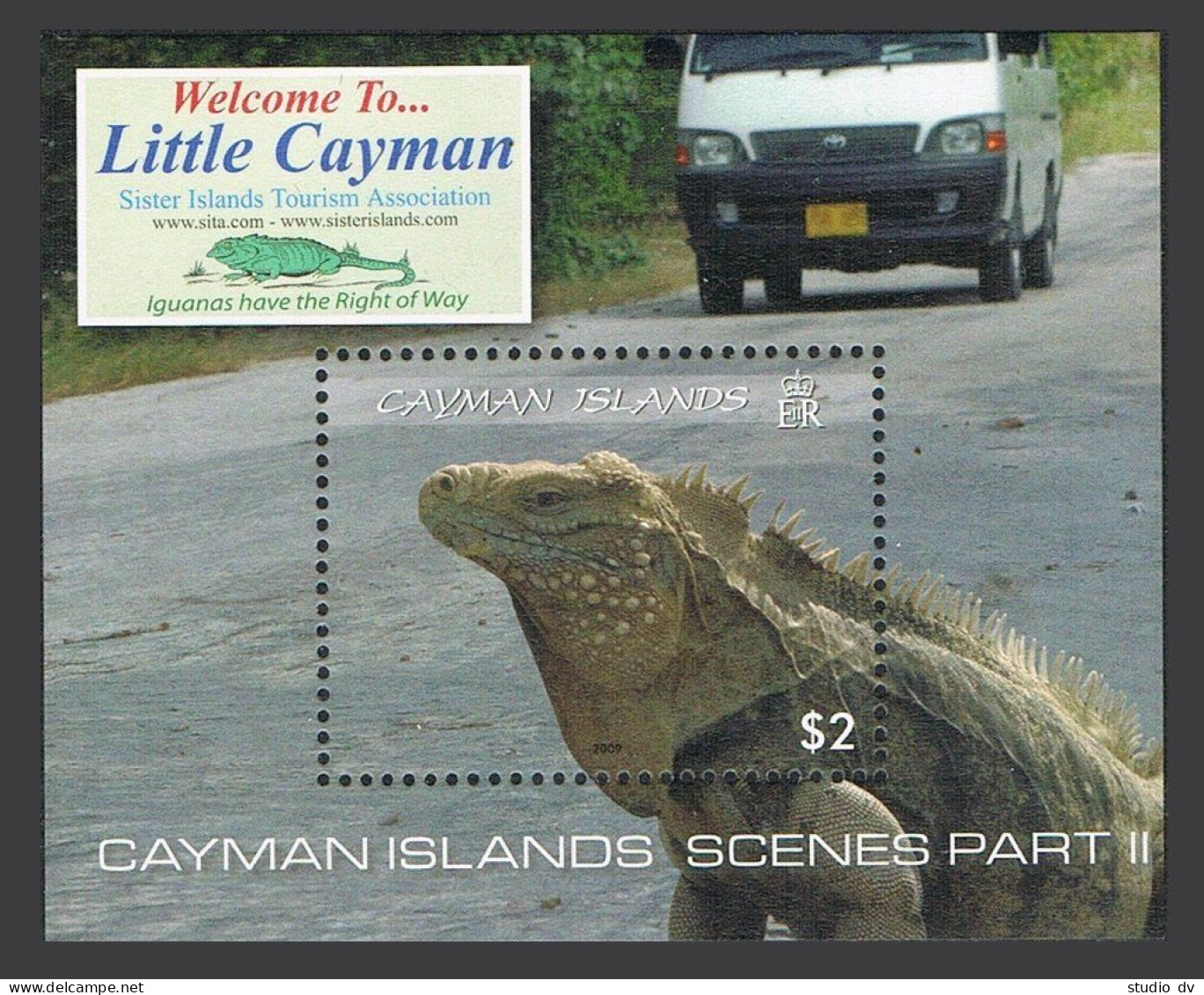 Cayman 1044 Sheet, MNH. Tourism 2009. Island Scenes: Iguana. - Kaimaninseln