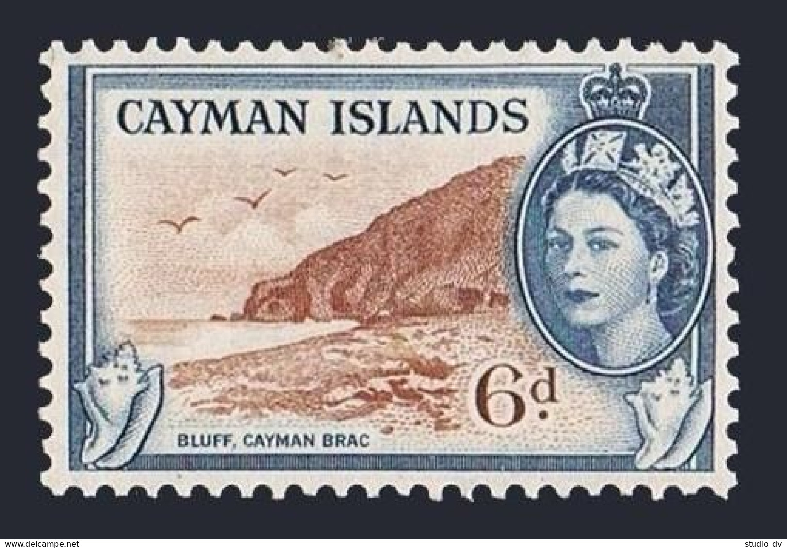Cayman 143, MNH. Michel 144. QE II, 1953. Bluff,Cayman Brac, Conch. - Cayman Islands