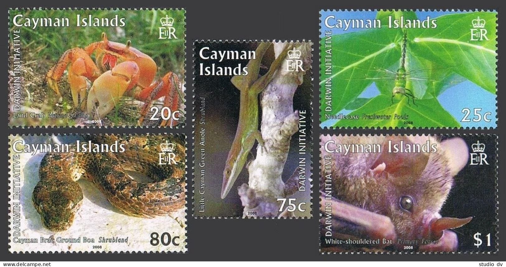 Cayman 1020-1024,1025,MNH. Darwin Institute,2008.Land Crab,Needlecase,Anole,Boa, - Kaimaninseln