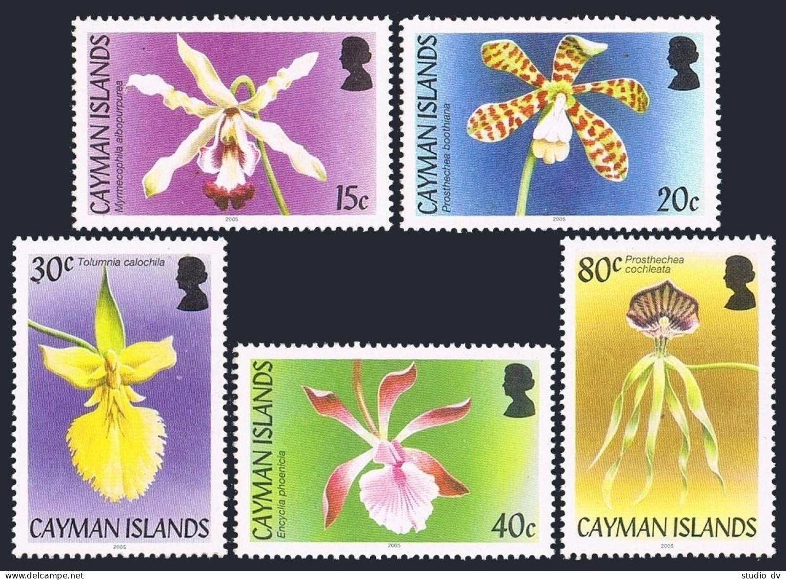 Cayman 932-936,937,MNH. Orchids 2005. - Cayman (Isole)