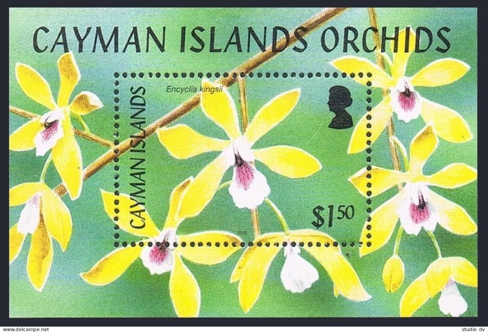 Cayman 932-936,937,MNH. Orchids 2005. - Iles Caïmans