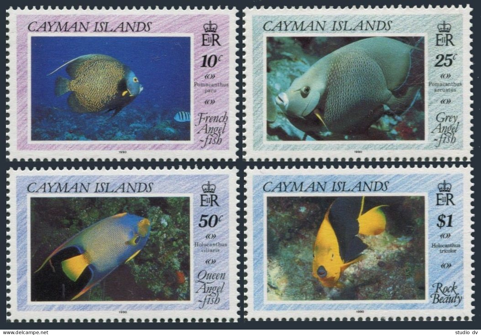 Cayman 618-621,MNH.Michel 632-635. Angelfish 1990. - Kaaiman Eilanden