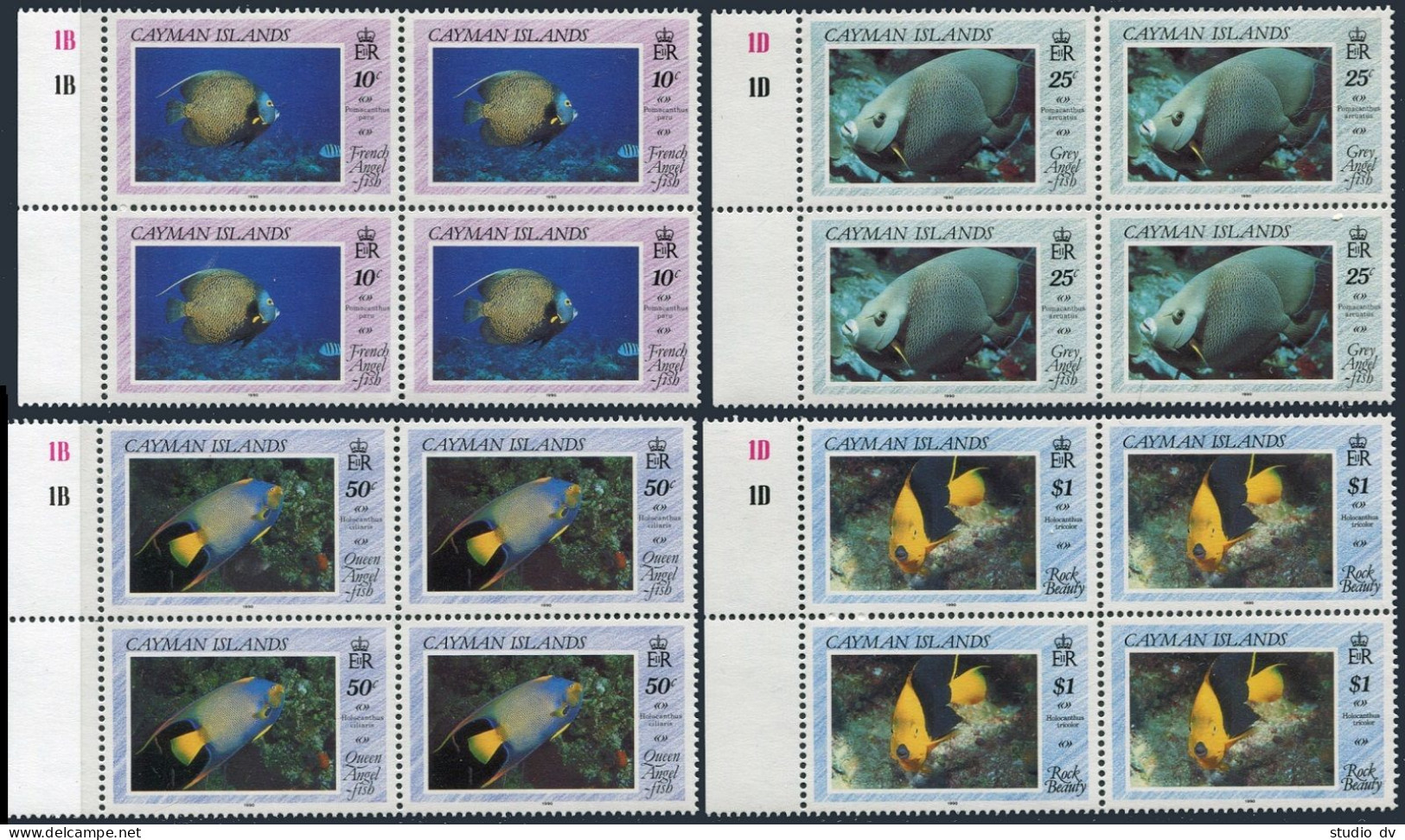 Cayman 618-621,MNH.Michel 632-635. Angelfish 1990. - Kaimaninseln