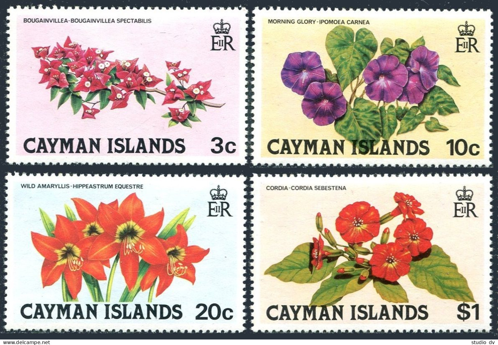 Cayman 478-481, MNH. Mi 482-485. Flowers: 1981. Wild Amaryllis, Cordia, Glory. - Kaaiman Eilanden