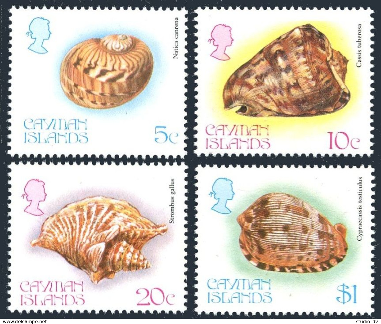 Cayman 502-505, MNH. Mi 506-509. Shells 1983. Natica Canrena, Cassis Tuberosa, - Cayman Islands