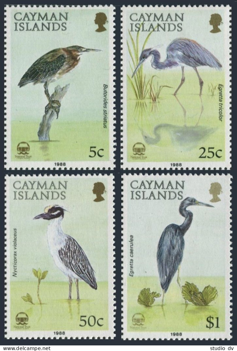 Cayman 594-597,MNH.Michel 604-607. Birds 1988:Herons.Butorides Striatus,Egretta - Kaimaninseln