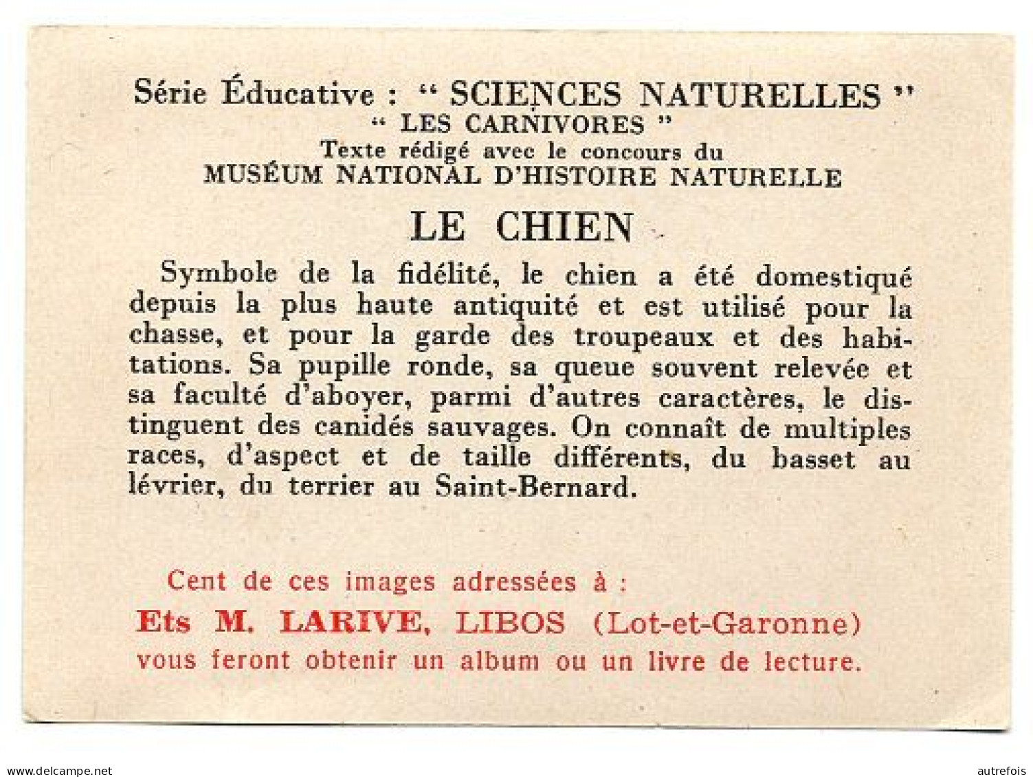 LE CHIEN   CHROMO  PUB DEJEUNER PAINSADOZ ET FLAN LUMINOR - ETS M LARIVE LIBOS 47 - Otros & Sin Clasificación