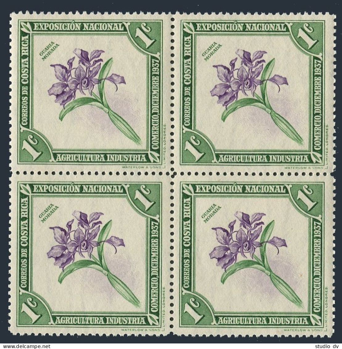 Costa Rica 184 Block/4, MNH. National Exposition, 1938. Purple Guaria Orchid. - Costa Rica