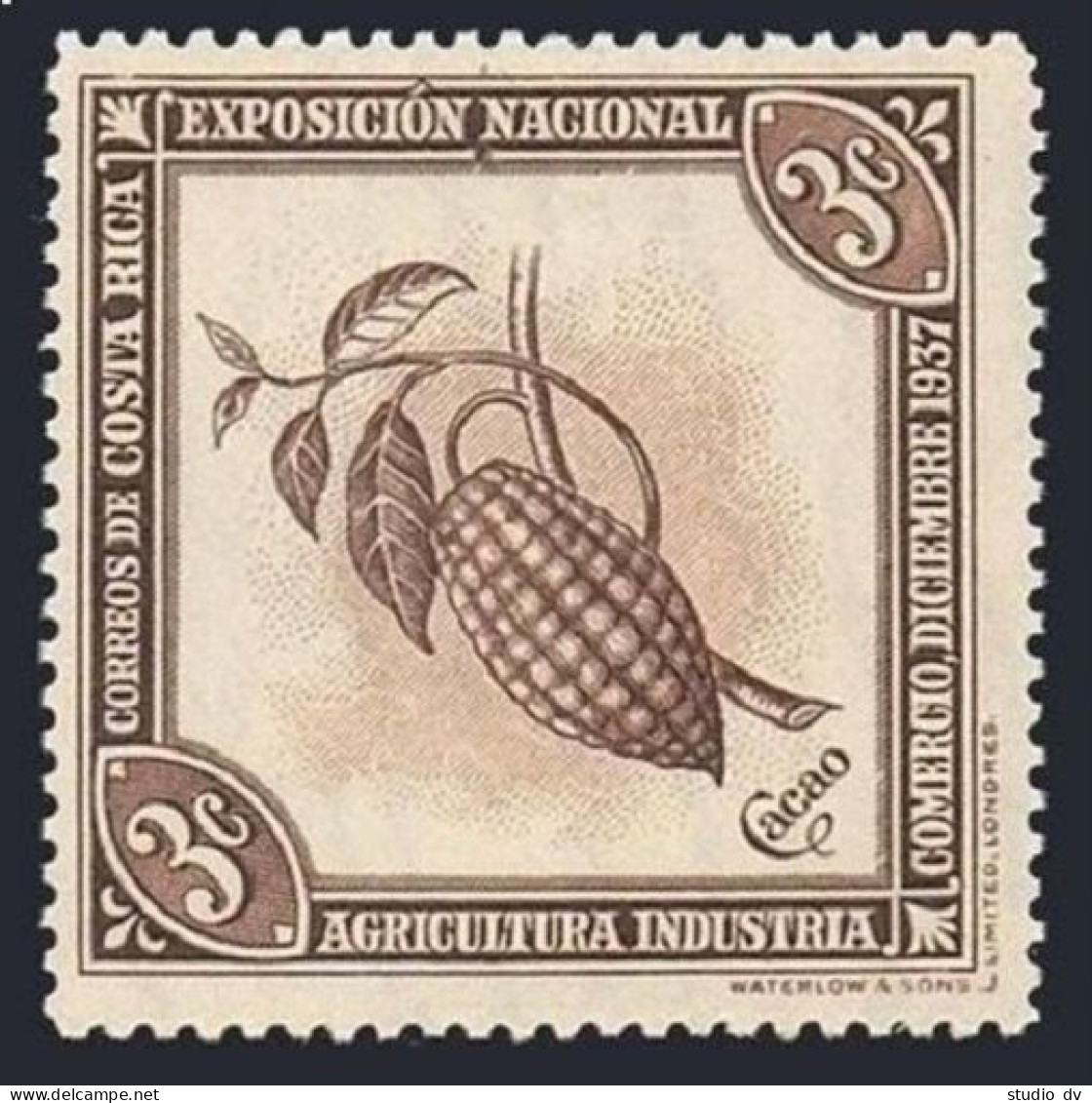 Costa Rica 185, MNH. Michel 200. National Exposition, 1938. Cacao Pod. - Costa Rica
