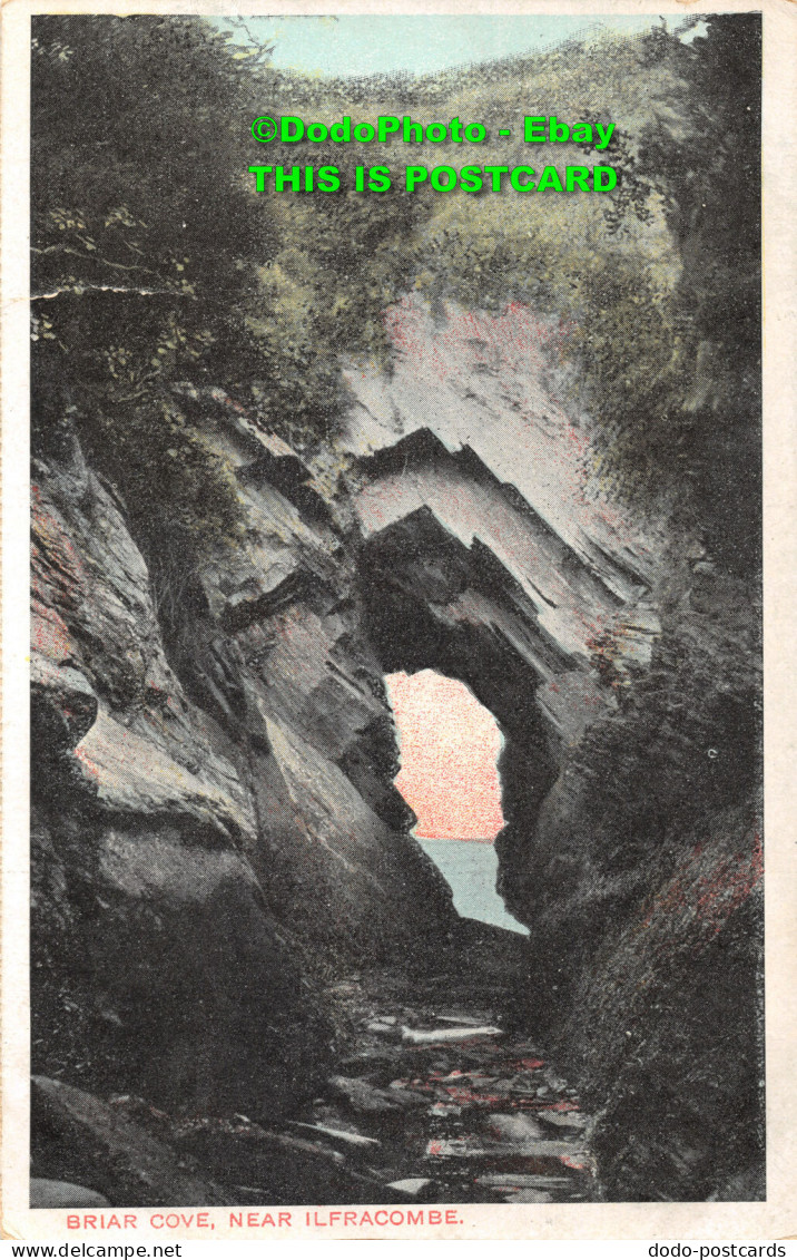 R419657 Briar Cove. Near Ilfracombe. G. D. And D. 1905 - World