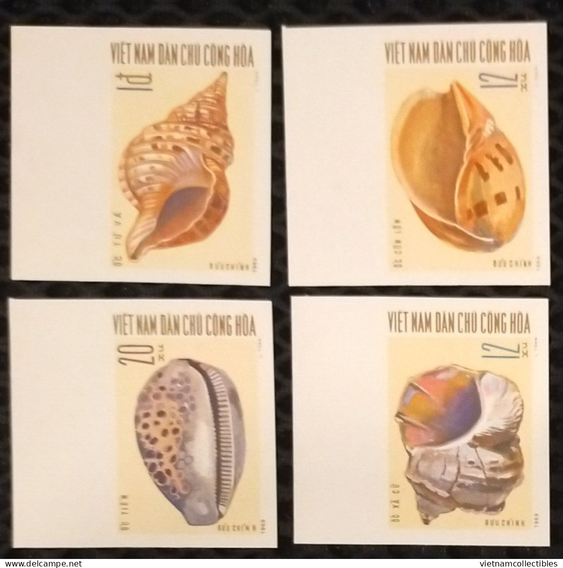 North Vietnam Viet Nam MNH Imperf Stamps 1970 : Sea Shells / Shell (Ms238) - Vietnam