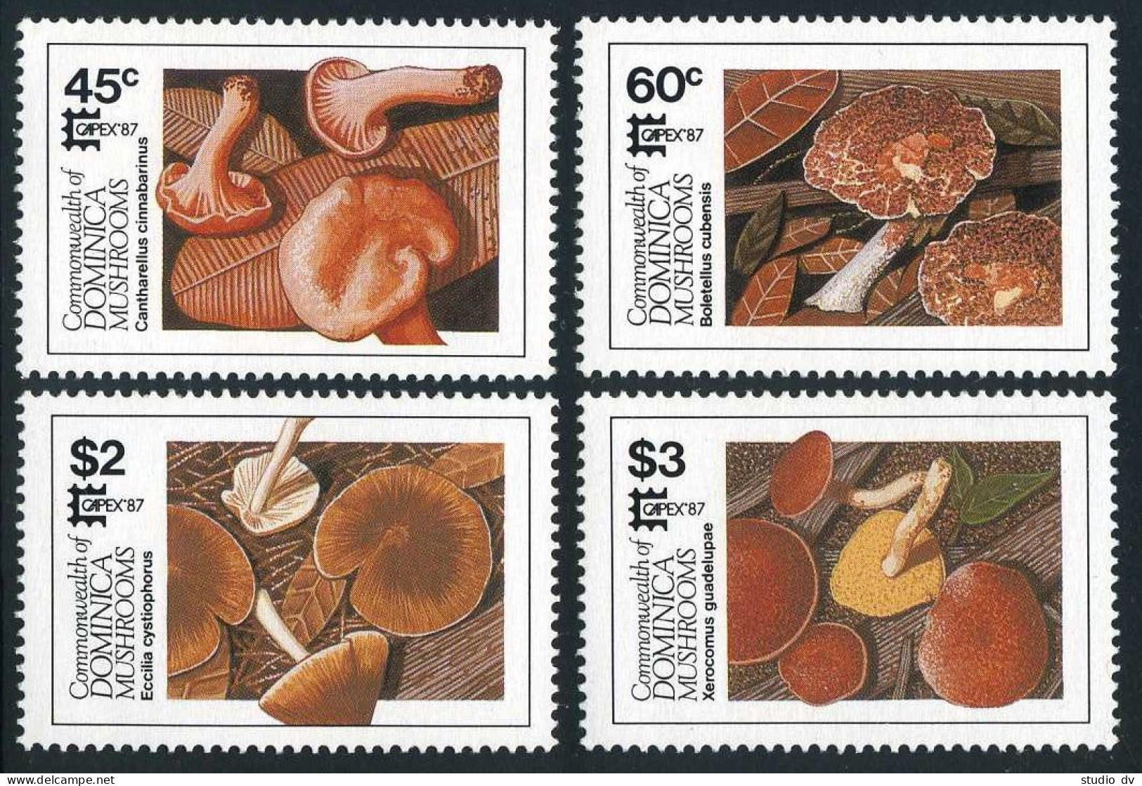Dominica 1024-1027, 1028, MNH. Mi 1036-1039, 1040 Bl.120. CAPEX-1987. Mushrooms. - Dominica (1978-...)