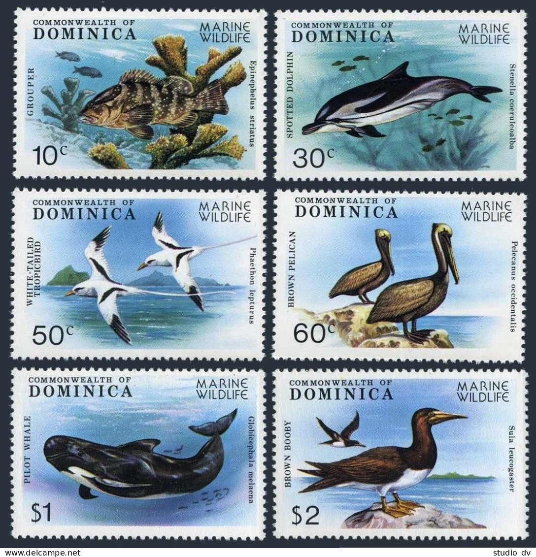Dominica 618-623, MNH. Mi 630-635. Wildlife Protection:Fish,Birds,Dolphin,Whale. - Dominique (1978-...)