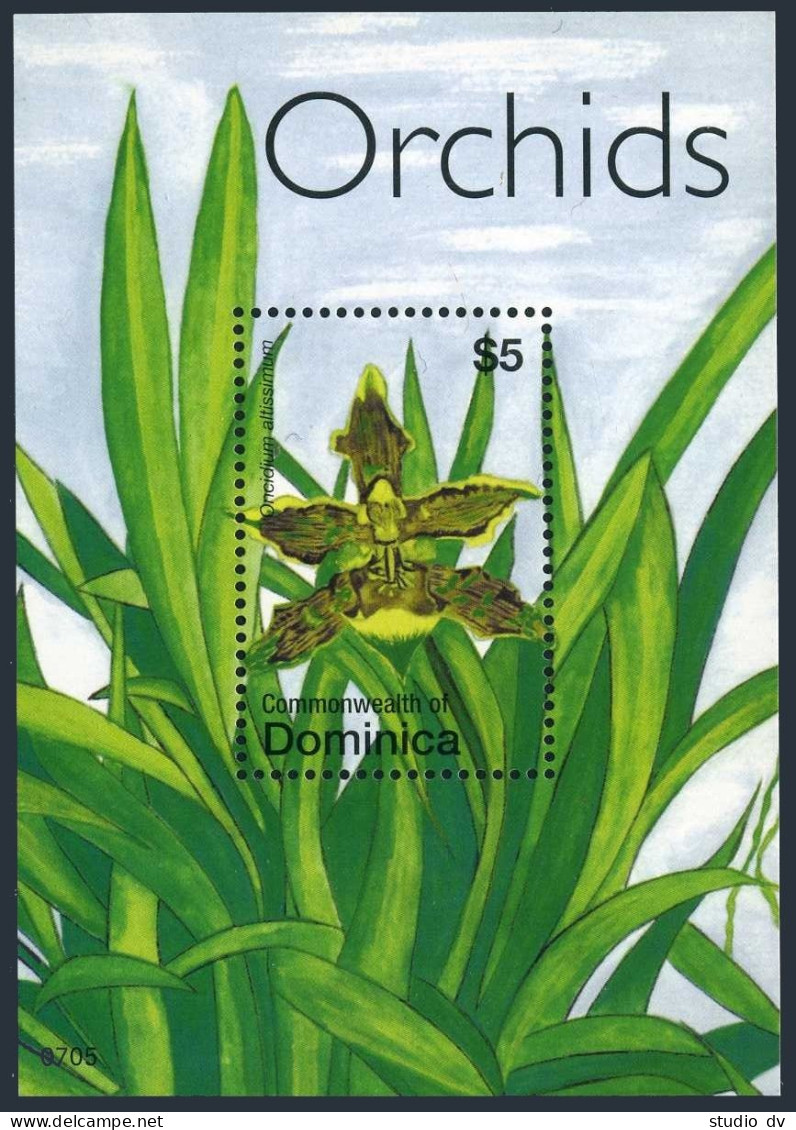 Dominica 2632,MNH. Orchid Oncidium Altissimum,2007. - Dominique (1978-...)