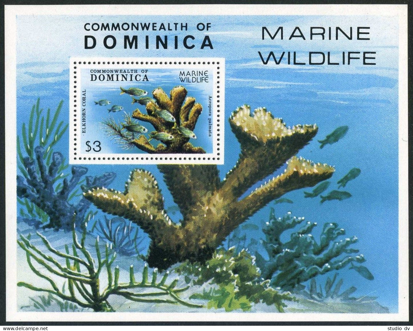 Dominica 624, MNH. Michel Bl.56. Wildlife Protection, 1979. Elk-horn Coral. - Dominica (1978-...)