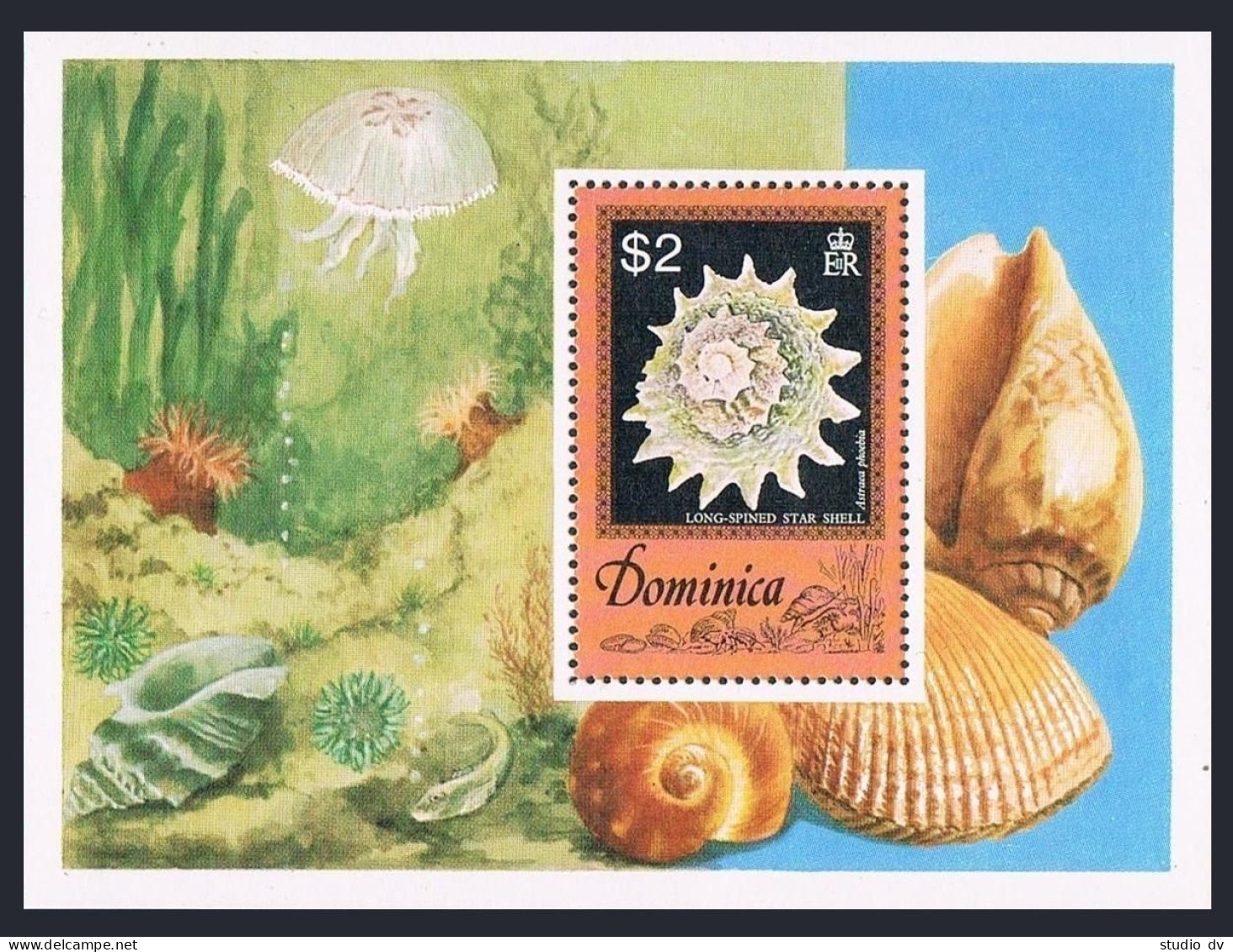 Dominica 513-520, MNH. Mi 517-523, 524 Bl.41. Seashells 1976. Sandals, Conch, - Dominique (1978-...)