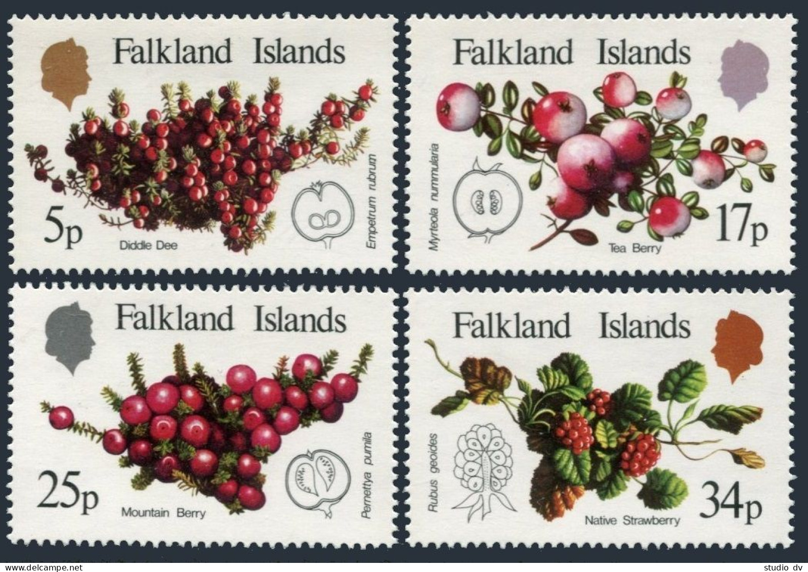 Falkland Islands 379-382, Lightly Hinged. Michel 382-385. Berries 1983. - Falkland Islands