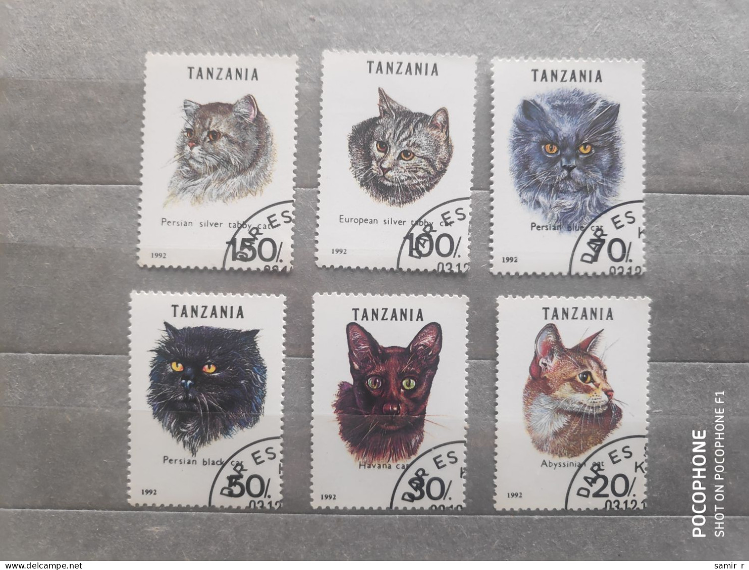 1992	Tanzania	Cats  (F97) - Tanzania (1964-...)