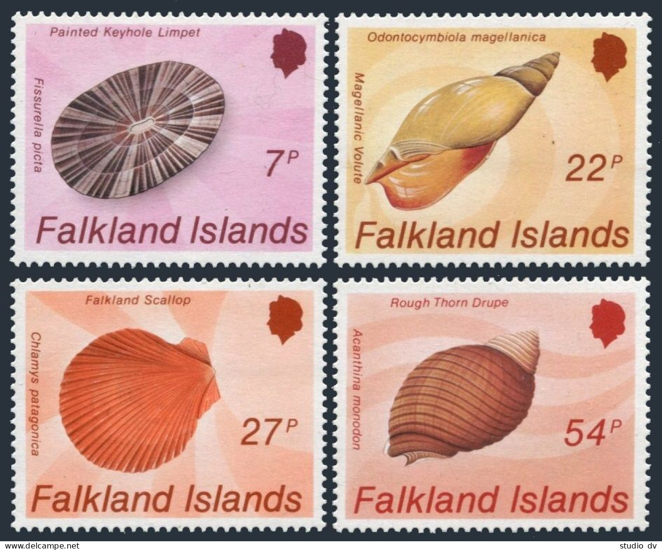 Falkland 437-440, MNH. Mi 440-443. Shells 1986. Limpet, Volute, Scallop, Drupe. - Islas Malvinas