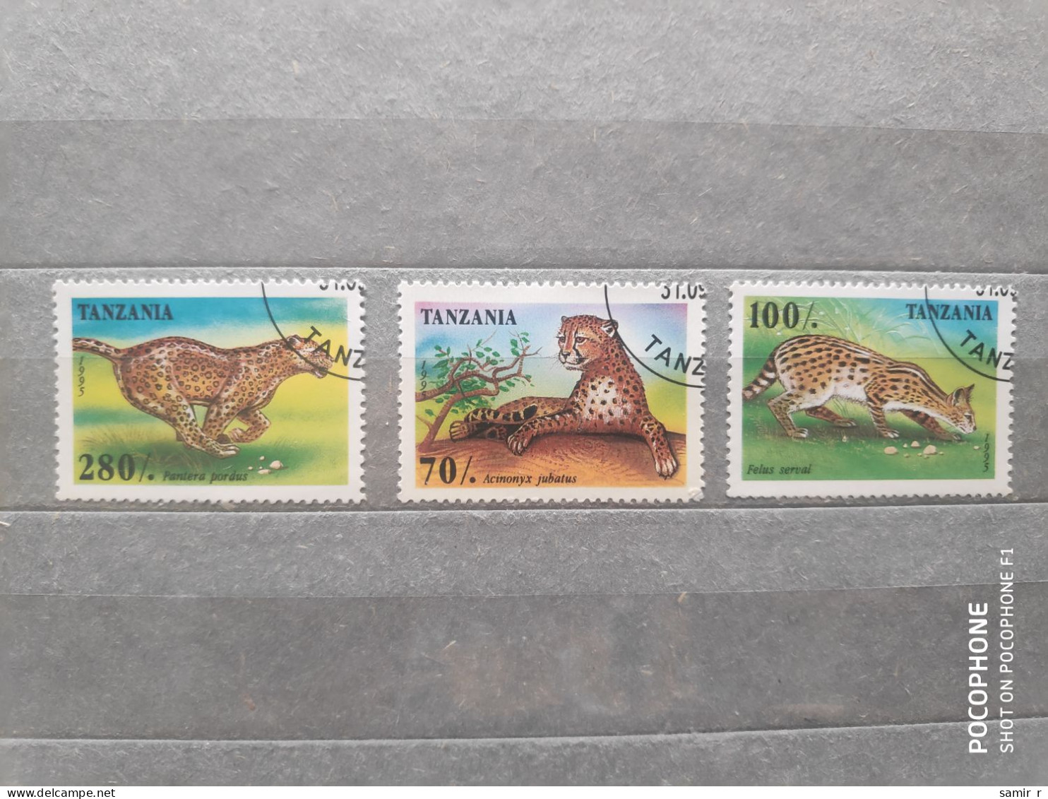 1995	Tanzania	Cats  (F97) - Tanzania (1964-...)