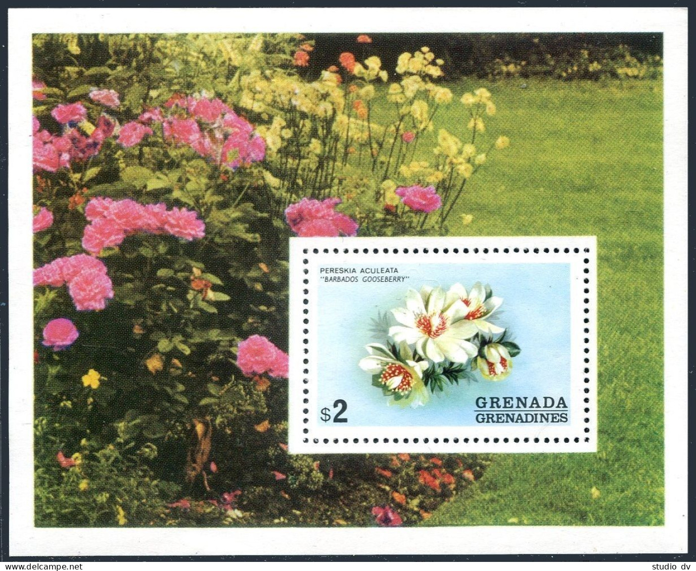 Grenada Gren 58, MNH. Michel 62 Bl.7. Flowers 1975. Barbados Gooseberry. - Grenada (1974-...)