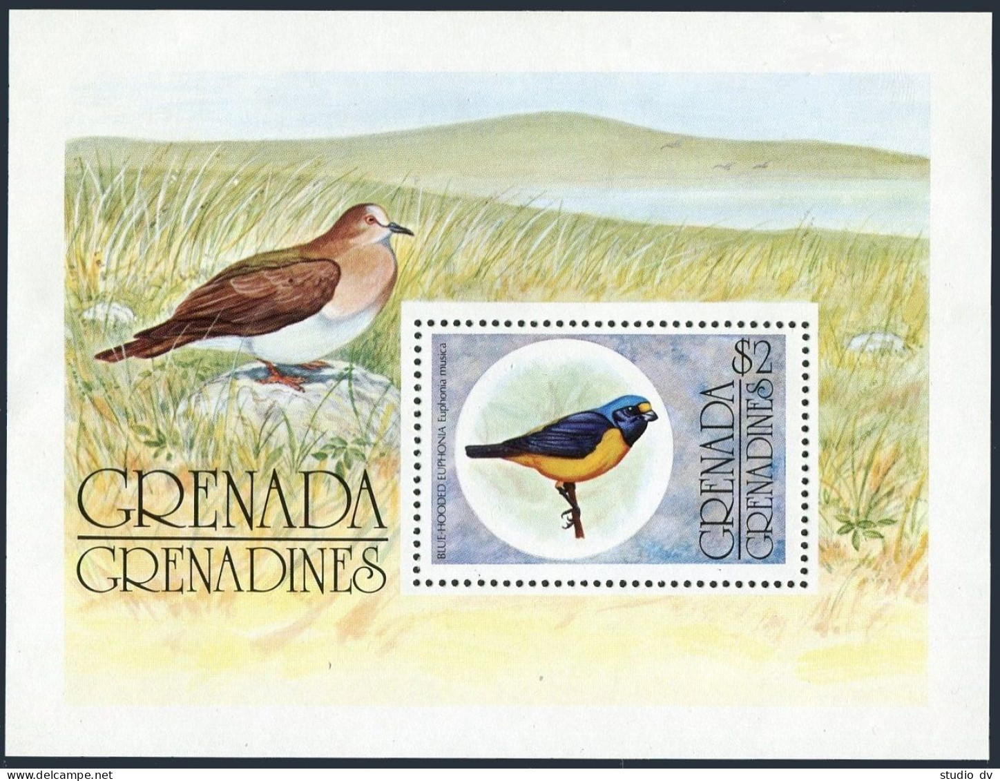 Grenada Gren 152, MNH. Michel Bl.17. Blue-Hooded Euohonia, 1976. - Grenada (1974-...)