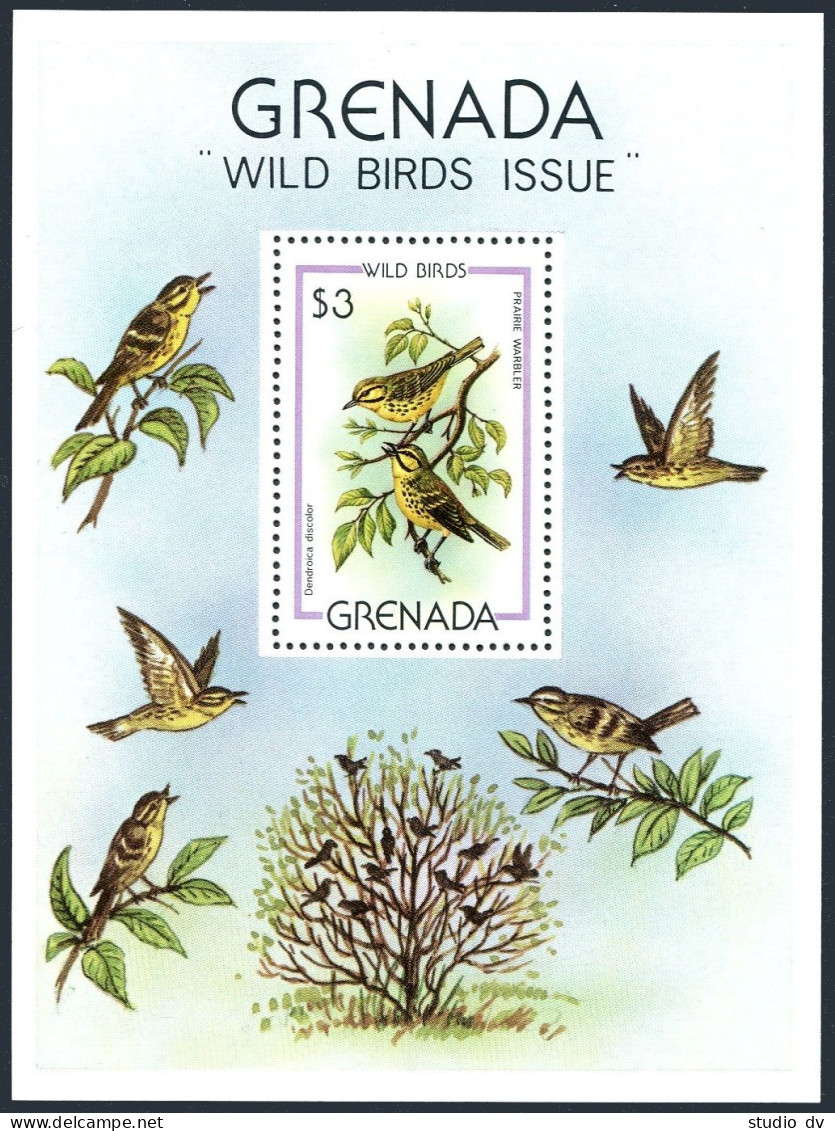 Grenada 989, MNH. Michel 1030 Bl.89. Prarie Warblers, 1980. - Grenada (1974-...)