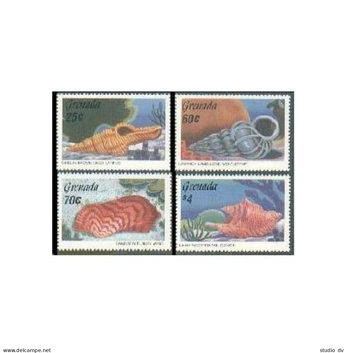 Grenada 1389-1393,MNH.Michel 1485-1488,Bl.161. Sea Shells,1986. - Grenade (1974-...)