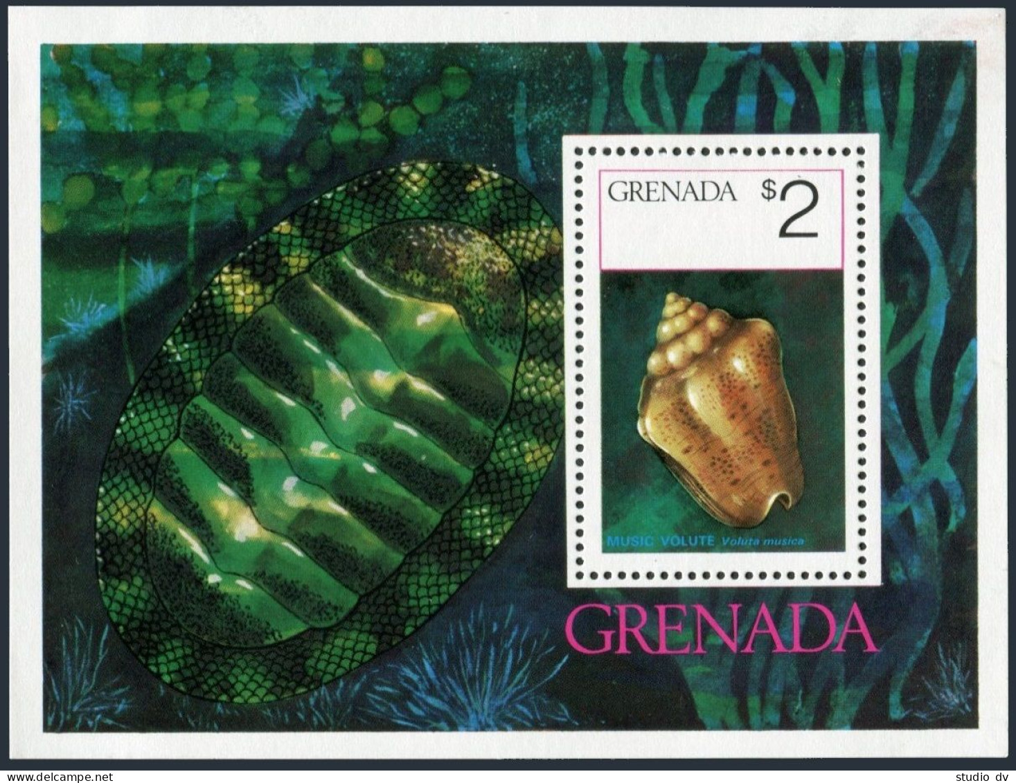 Grenada 652-658, 659, MNH. Michel 685-691, 692 Bl.46. Shells 1975. - Grenada (1974-...)