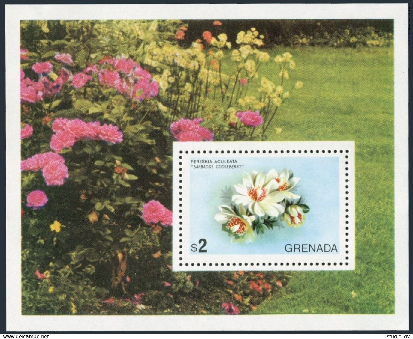 Grenada 620, MNH. Michel 647 Bl.40. Flowers Of Grenada, 1975. - Grenade (1974-...)