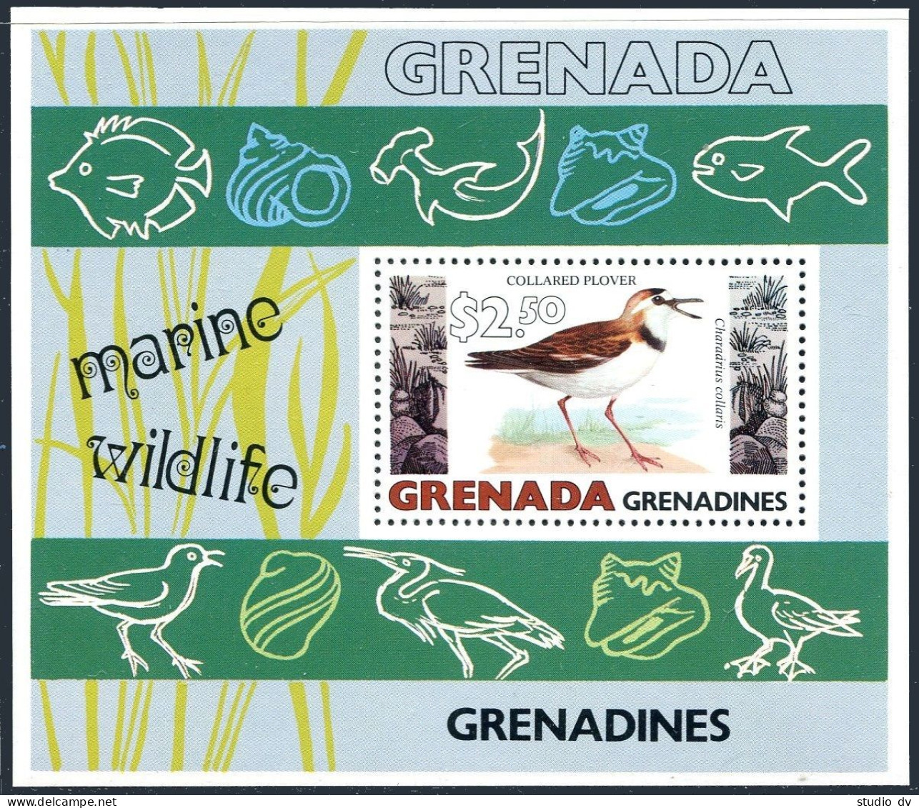 Grenada Gren 349, MNH. Michel Bl.45. Marine Wildlife 1979. Collared Plover. - Grenade (1974-...)