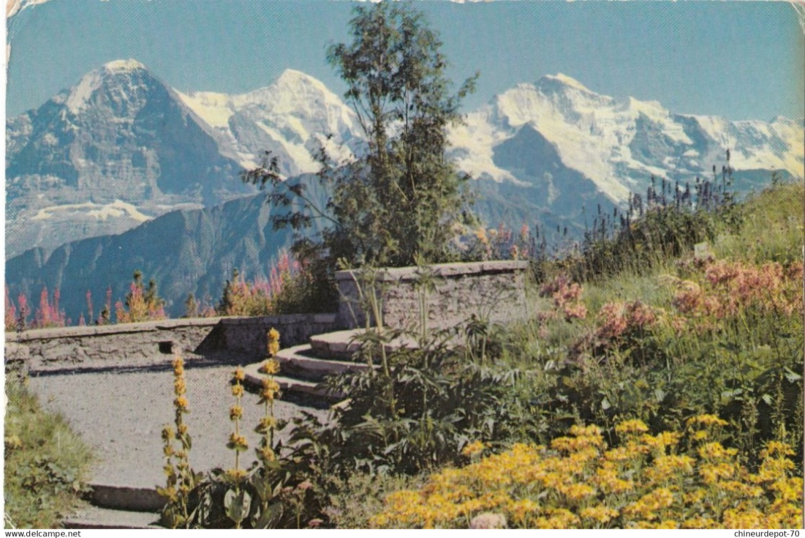 Suisse  BE Berne Interlaken  Eiger, Mönch Et Jungfrau - Interlaken