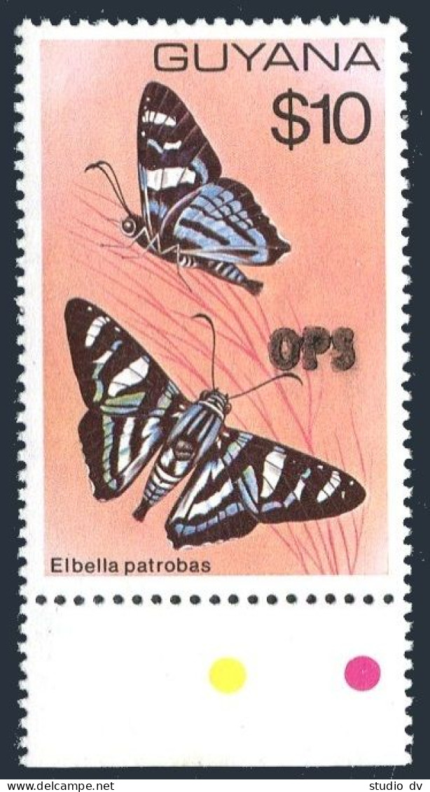 Guyana O15, MNH. Michel D18. Official 1981. Butterfly Elbella Patrobas. - Guyana (1966-...)