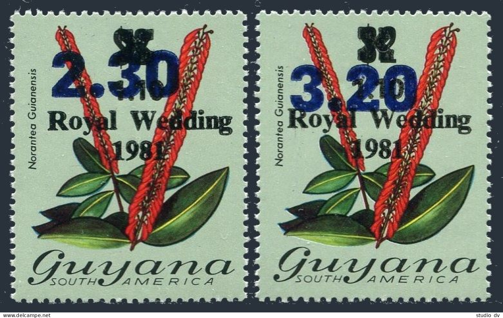 Guyana 666-667, MNH. Mi 983-984. Norantea Guianensis. Royal Wedding & Value 1983 - Guyana (1966-...)