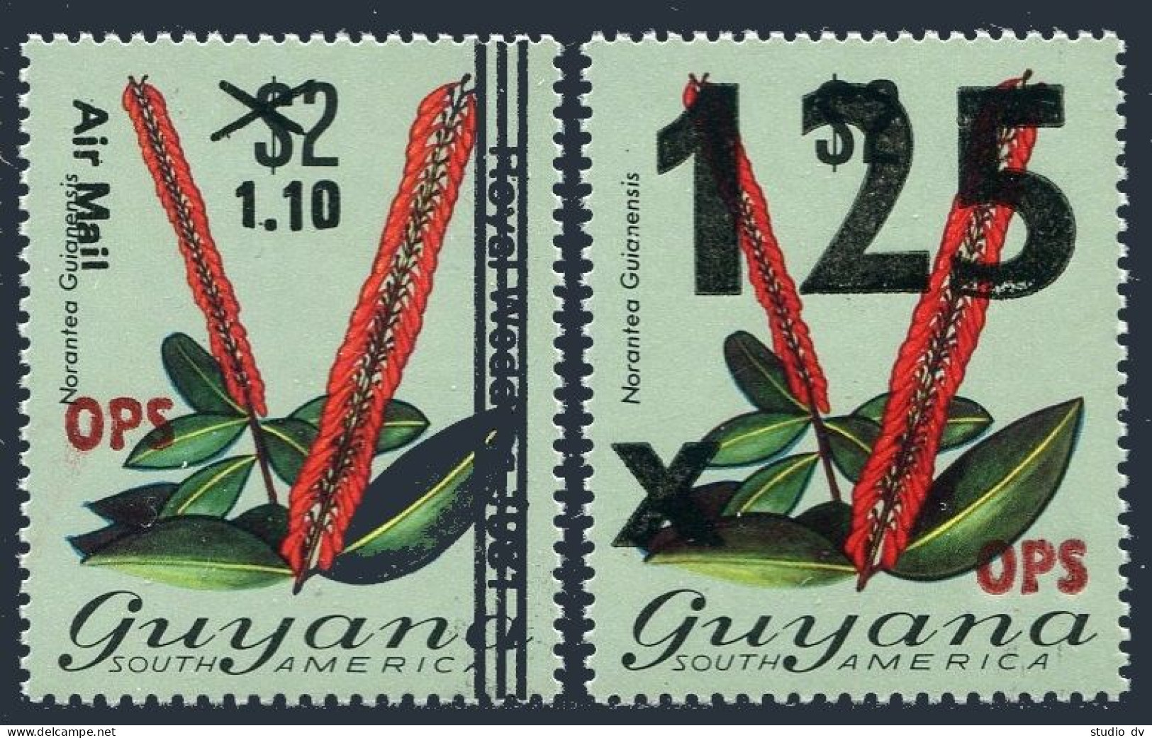 Guyana O11-O12, MNH. Mi D17, D24. Official 1981. Norantea Guianensis Overprinted - Guyana (1966-...)