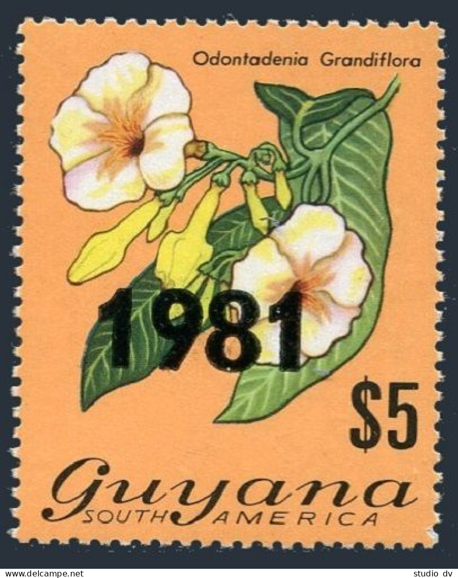Guyana 372 Surcharged 1981,offset,MNH.Michel 673. Plant Odontadenia Grandiflora. - Guyane (1966-...)