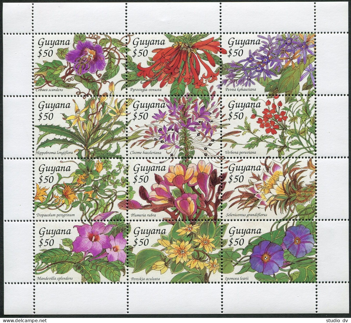 Guyana 2790 Sheet, MNH. Michel . Tropical Flowers, 1994. - Guyana (1966-...)