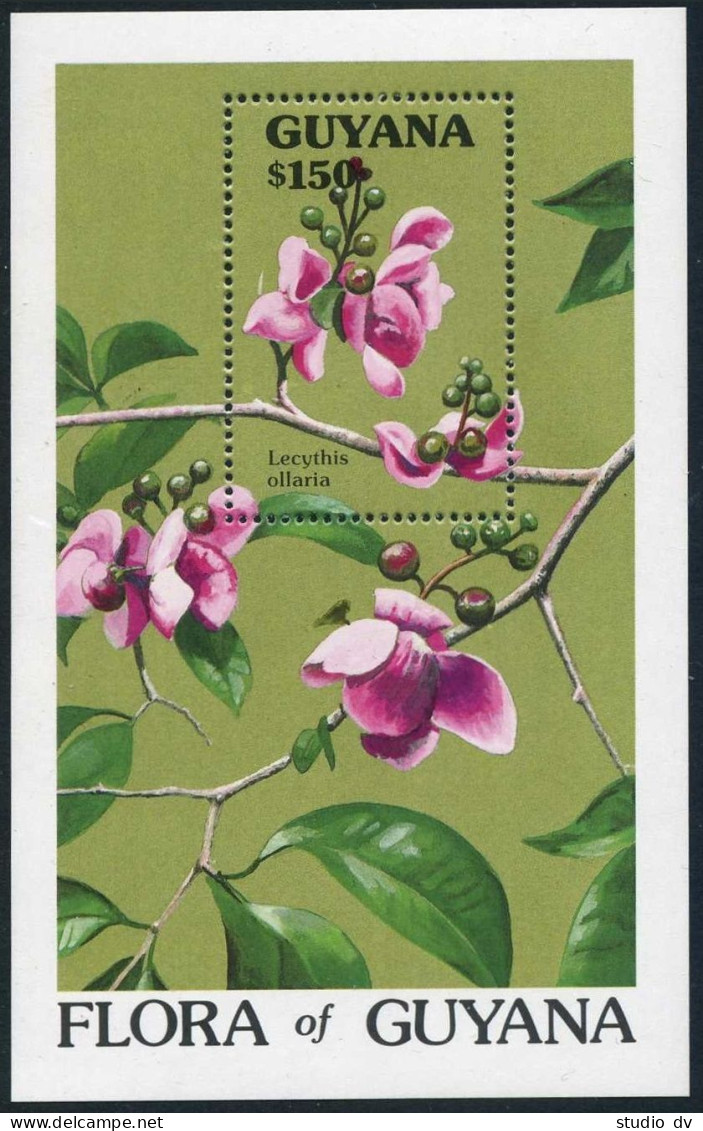 Guyana 2376 Sheet,MNH.Mi 3389 Bl.114. Flora 1990.Lecythis Ollaria. - Guyane (1966-...)