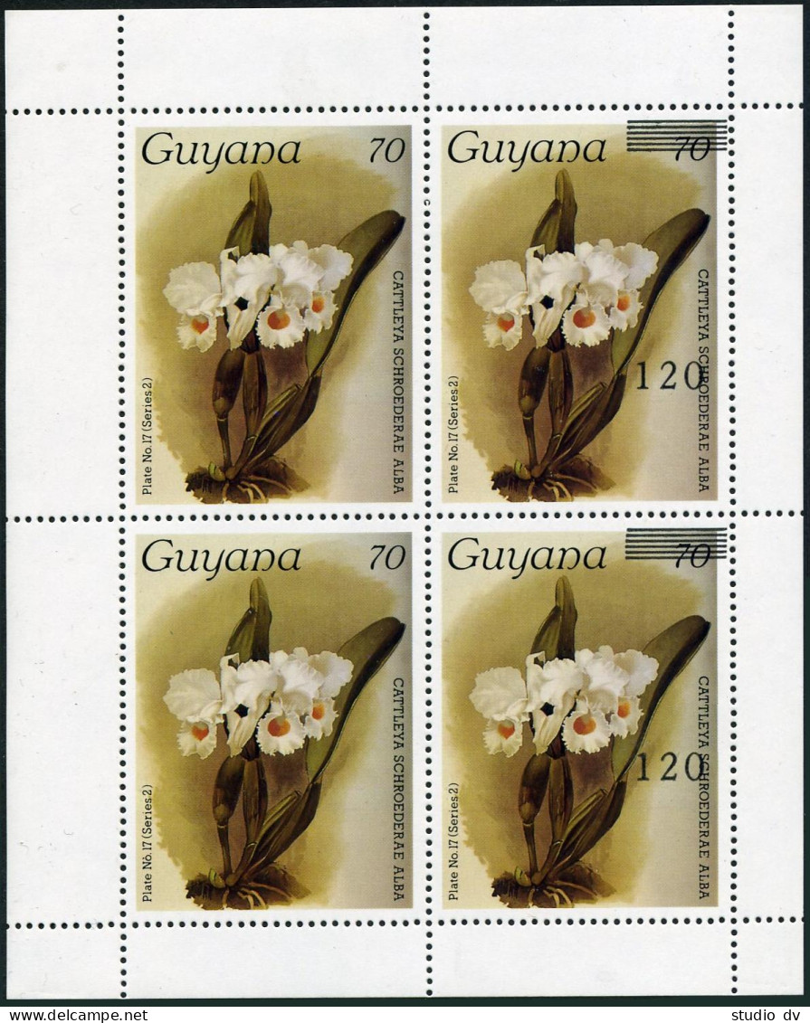 Guyana 1198/1687 Sheet,MNH. Mi 2255/2225 Klb. Cattleya Schroederae Alba Orchid. - Guyane (1966-...)