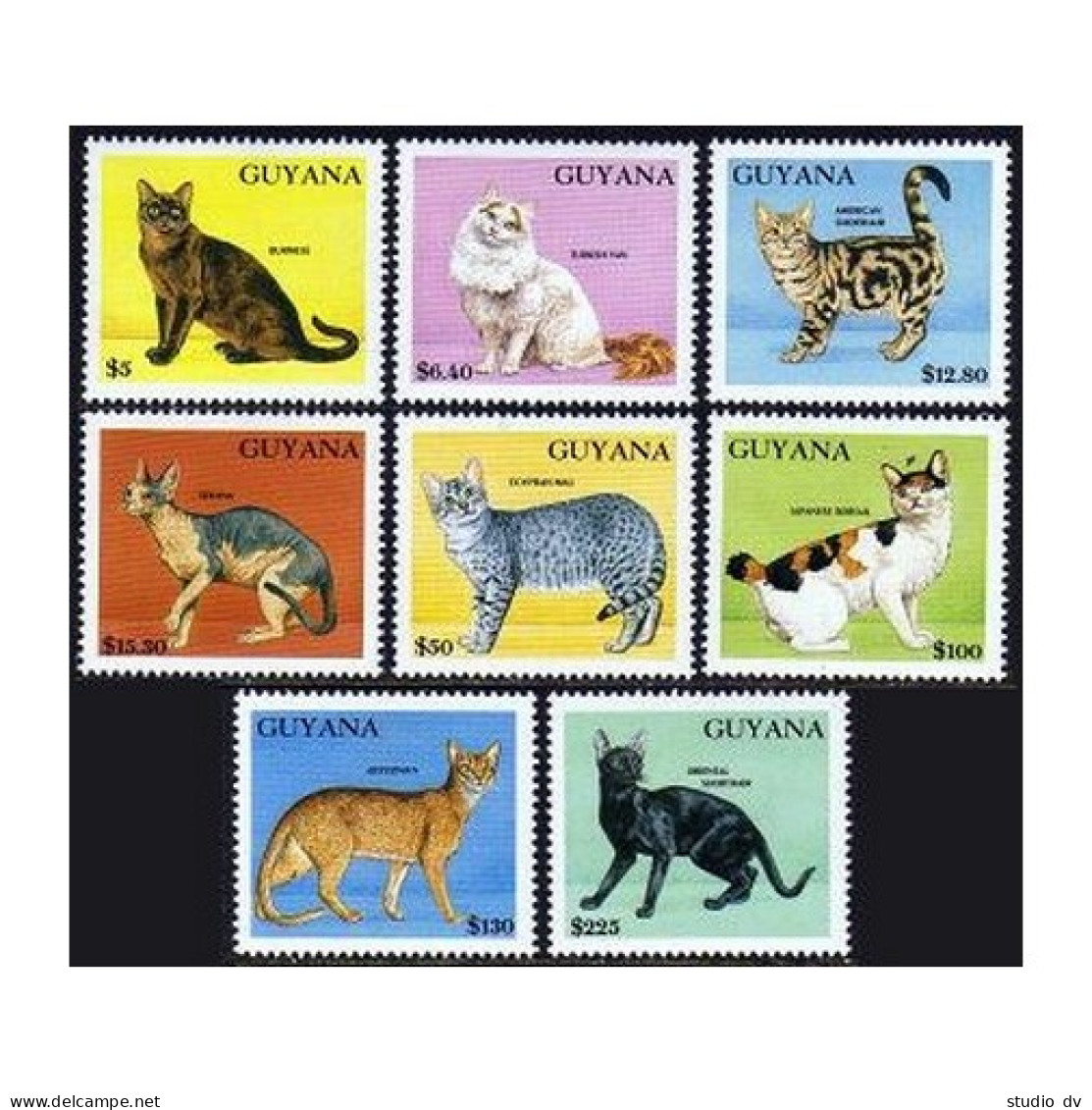 Guyana 2581-2588,2588A Bi Sheet,2589-2592,MNH.Michel 3835-3854,4 Bl. Cats 1992. - Guyane (1966-...)