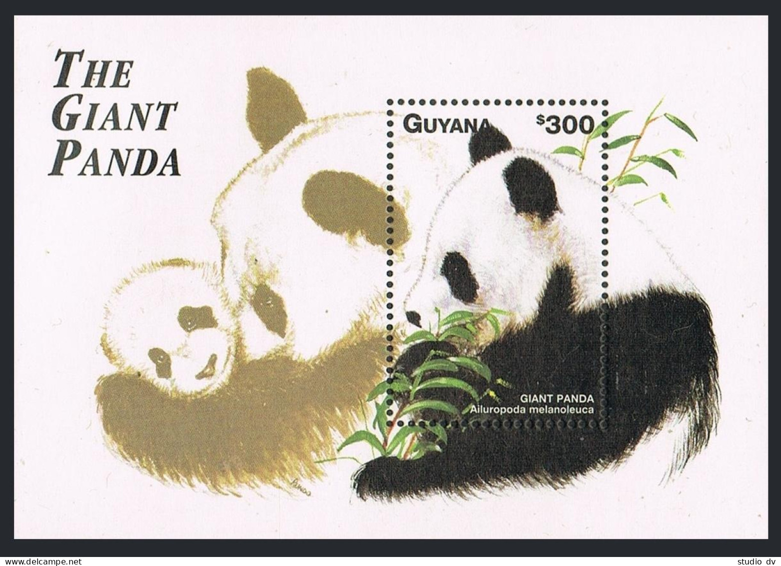Guyana 3330 Af,3332 Sheets,MNH. Endangered Species 1998.The Giant Panda. - Guyana (1966-...)