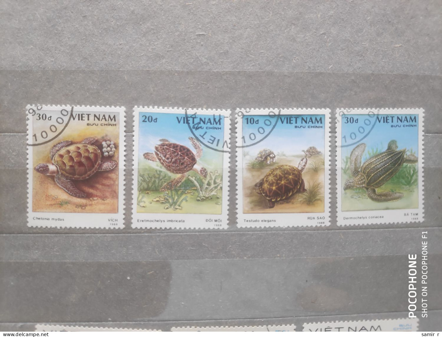 1988	Vietnam	Turtles  (F97) - Vietnam