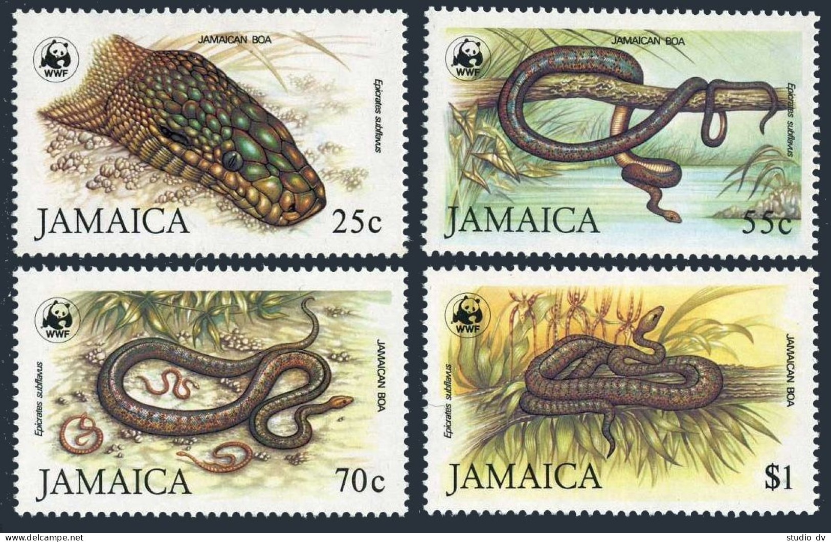 Jamaica 591-594, MNH. Michel 591-594. WWF 1984. Jamaican Boas. - Jamaica (1962-...)