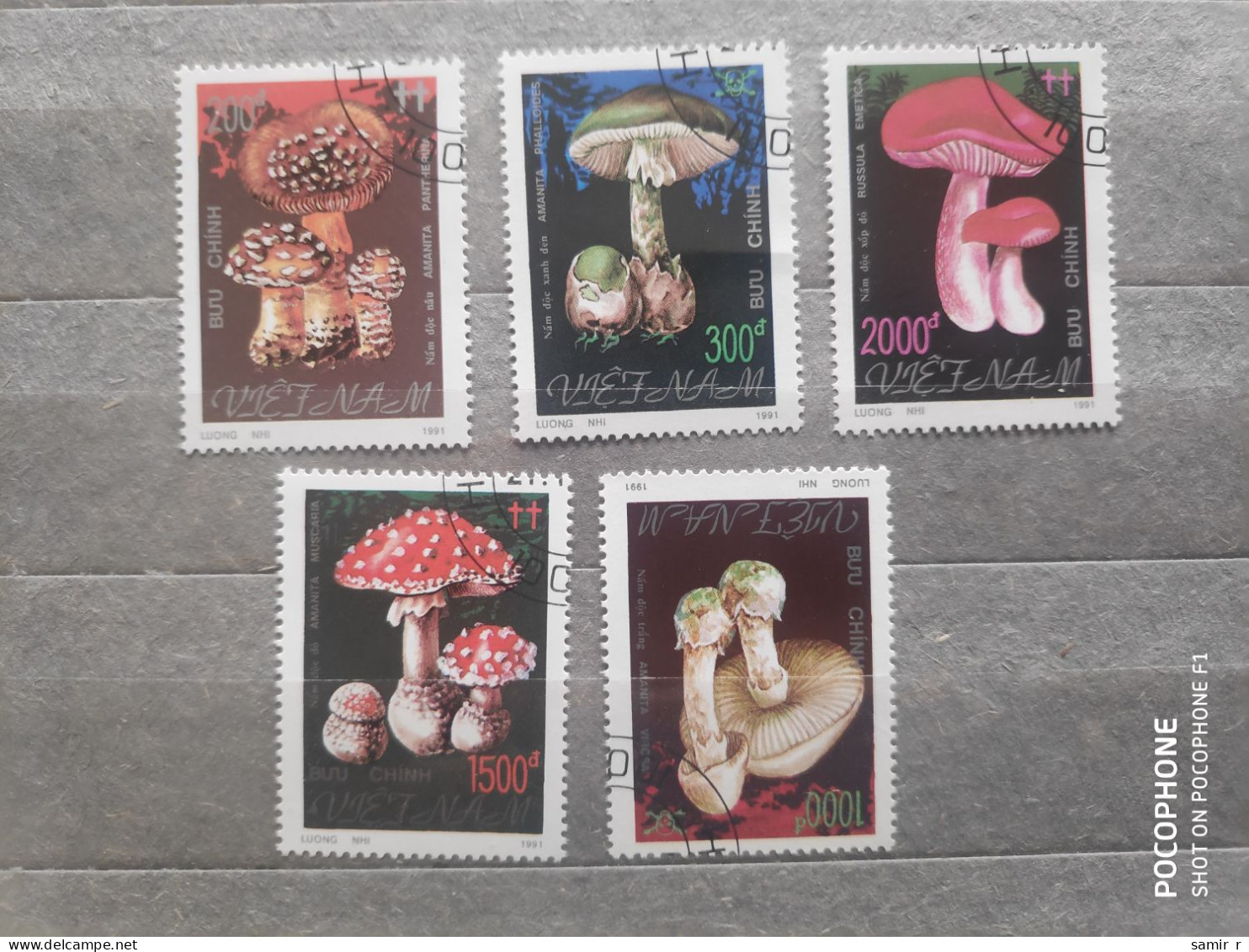 1991	Vietnam	Mushrooms (F97) - Viêt-Nam